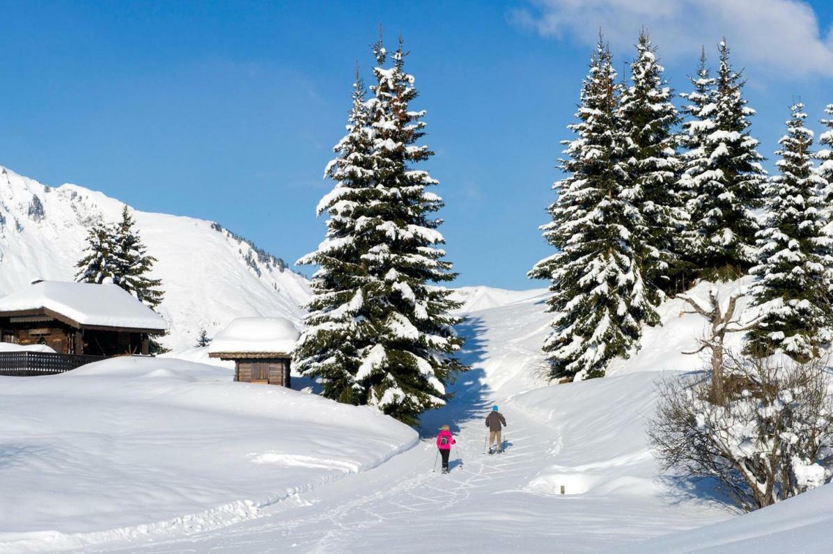 Village Club De Bois D'Amont エクステリア 写真